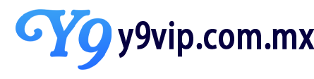 Y9国际